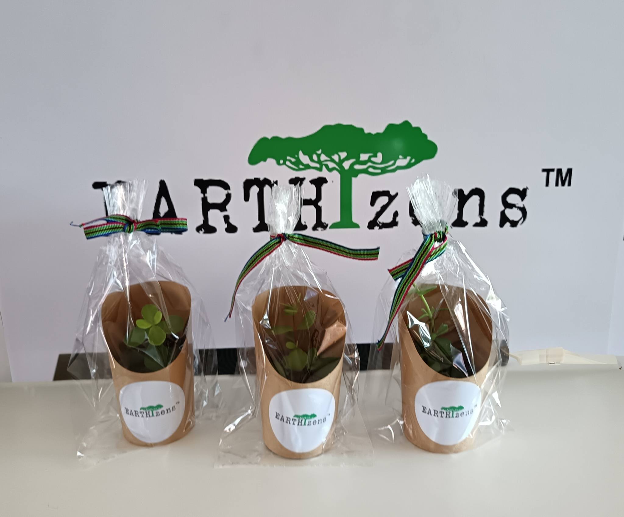 644952261_953772997213094_5190296561114728182_n